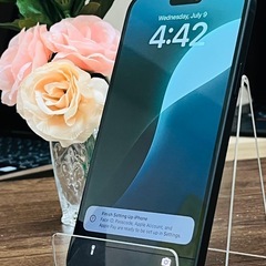 iPhone 15 plus の画像