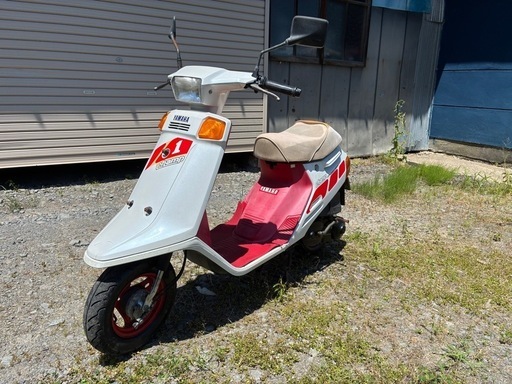 最終値下げ　チャンプ　スペシャル　54V ライトウェイトスポーツ