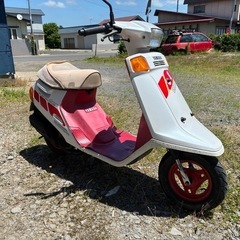 チャンプ　スペシャル　54V ライトウェイトスポーツの画像