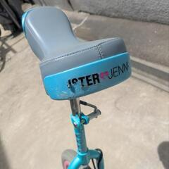 シスタージェニィ一輪車の画像