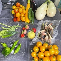 有機栽培！無農薬野菜！の画像