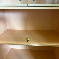 木製キャビネット　書庫　本棚　ショーケース の画像