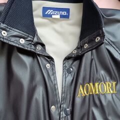 青森高校ソフトボール部　ジャンパー＆帽子の画像