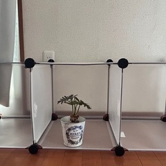 ３段ボックス
の画像