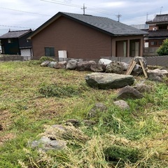 庭石の画像