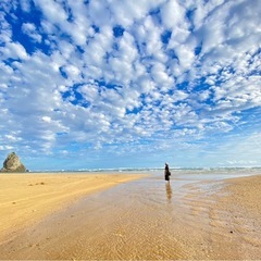 旅行好きな人と情報交換したい✨🏃‍♀️旅、ヒッチハイク、自然、海など✨