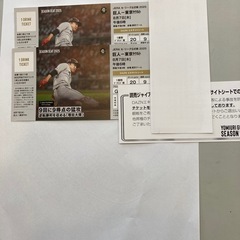 巨人対ヤクルト８月７日東京ドームペアチケット