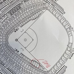 巨人対ヤクルト８月７日東京ドームペアチケットの画像