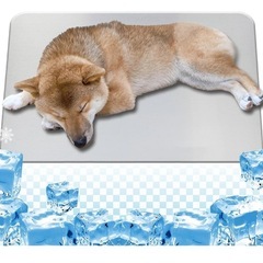 (値下げしました)犬用冷却プレートの画像