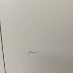 【引取限定・郡山】両開きスチールキャビネット（書庫）4800円【傷あり・機能良好】の画像