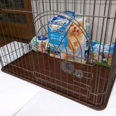 晩節断捨離“値下げ断行“「小型犬ケア用具 (中古品) 一式」の画像
