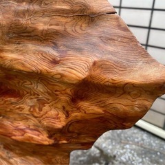 屋久杉 光明 一枚板 衝立 良杢 年輪 衝立 無垢 和室 玄関 置物 床間の画像