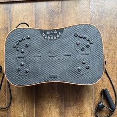TOKAIZ 振動マシン　TVI-001の画像