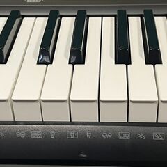 CASIO カシオ 電子キーボード CTK-2200の画像