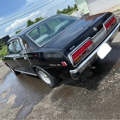 旧車　53年セドリックGL ディーゼルの画像