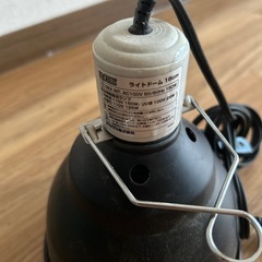 ライトドームの画像