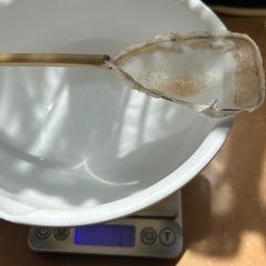 メダカに… タマミジンコ　めだか　1g+α ミジンコの画像