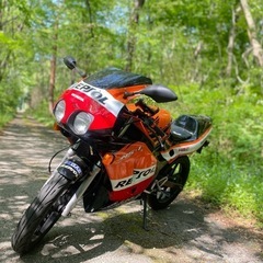 HONDA NS1 レプソルカラー