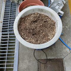 植木鉢及び土の画像