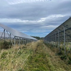 【七飯町】太陽光発電所の草刈り作業員の画像