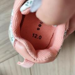 12cm　未使用ベビーシューズ　Branshes　ブランシェスの画像