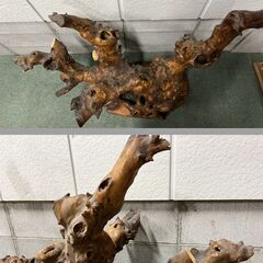 置物 流木 天然木 インテリア オブジェ 置き台付 自立しない 幅100cm×奥行45cm×高さ87cm の画像