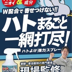 【新品未使用】駆除名人 鳩よけ スプレータイプ 鳩用忌避剤 鳥よけ カラスよけ 天然香料 強力の画像