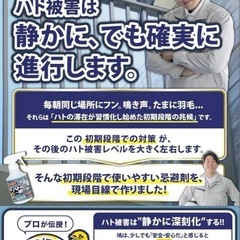 【新品未使用】駆除名人 鳩よけ スプレータイプ 鳩用忌避剤 鳥よけ カラスよけ 天然香料 強力の画像