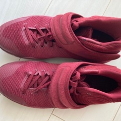 ナイキ カイリー2 EP NIKE KYRIE 2 EP 27. 5cmの画像