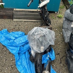 ホンダライブDIOの画像