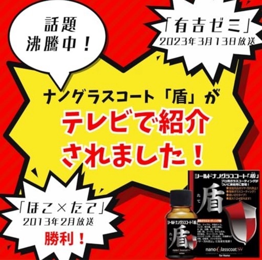 【ラスト1個】ナノグラスコートジャパン　「盾」