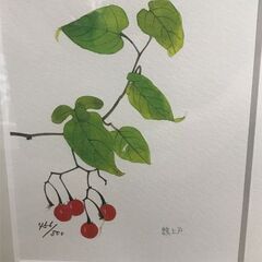 外山康雄 鵯上戸 吊花 藪柑子 ダイヤモン・スクリーニング+シルクスクリーン の画像