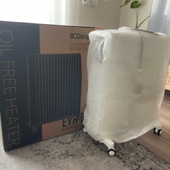 【ジャンク品】ディンプレックス　オイルフリーヒーター エボラッドB06コンビ色Aホワイトの画像
