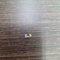 H352　ローチェストの画像