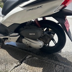 pcx125JF56の画像
