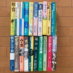 金の星社 ジュニア版 世界の文学 全20巻セットの画像