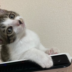 生後3ヶ月手前