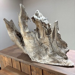 流木の画像