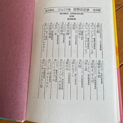 金の星社 ジュニア版 世界の文学 全20巻セットの画像