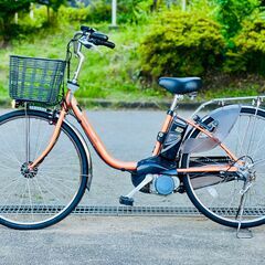 町田近辺でのみ取引可】Panasonic ジェッター シャイニーブルー