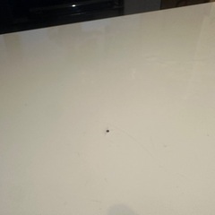 【譲り手決まりました】【無料】 白ローテーブル 120×50×40の画像