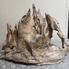 流木の画像