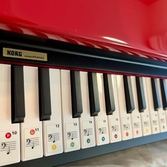 KORG MICROPIANO マイクロピアノ ミニ鍵盤61鍵 レッド ペダルセットの画像