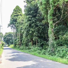 📍鉾田市下冨田｜1,360坪｜坪0.5万｜🌲伐採から始める…