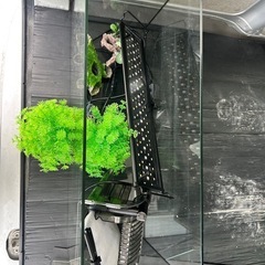 水槽セットの画像