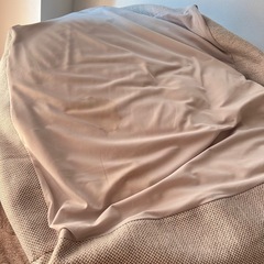 ソファークッション(引っ越しのため急ぎです！)の画像