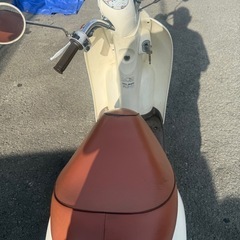 ⭕️(完売御礼)HONDAクレアスクーピー水冷、4サイクル、キャブ50cc⭕️の画像