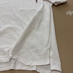 白Tシャツの画像
