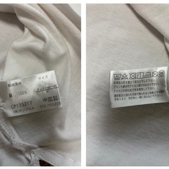 白Tシャツの画像