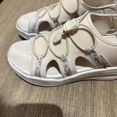 【決定】tigora サンダル今季購入中古の画像
